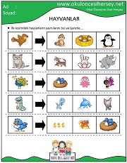 Hayvanların Yavrusunu Bul